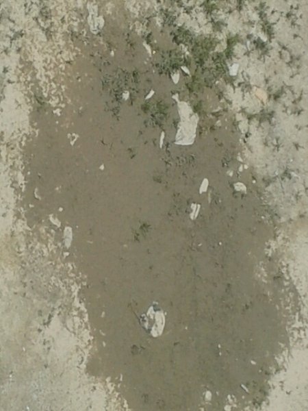 tmp-cam--308754183