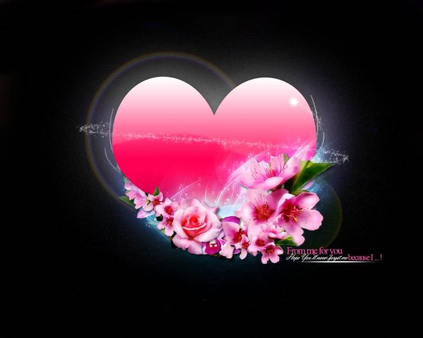66e32fb52de8