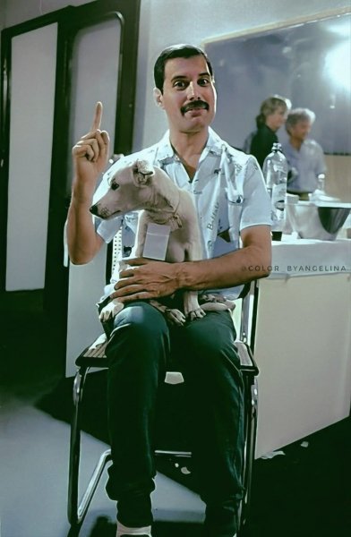 Freddie Mercury &amp; Freddie