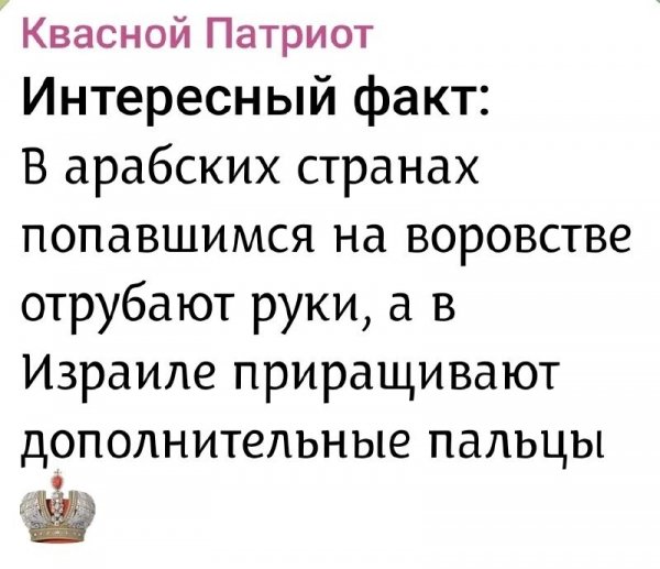 IMG 20260402 065218