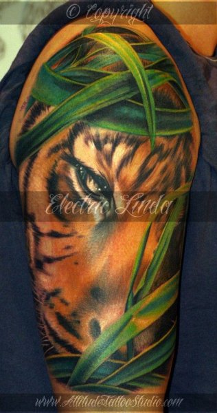 Tattoo (4319)
