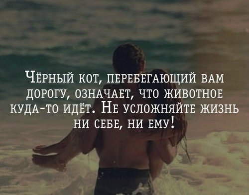 picture_207133599