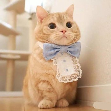 p 0 360 0-nashobmen.org