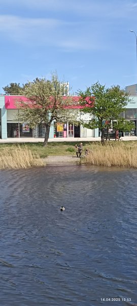 Анапа. Рыбалка на речке Анапка