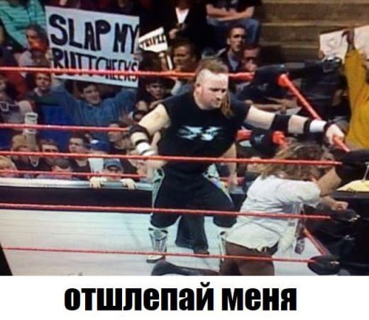 Wwe (141)