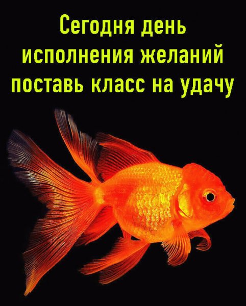 3241 8583и