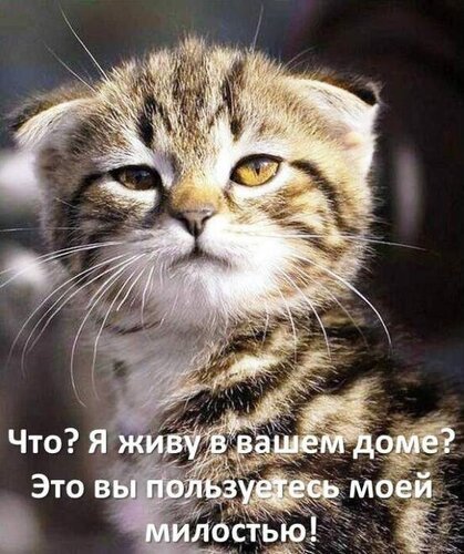 Да! ))