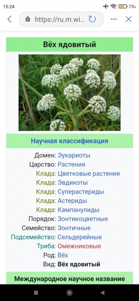 05-10-15-24-10-246 com.microsoft.copilot