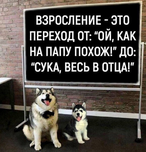 IMG 20230329 162157