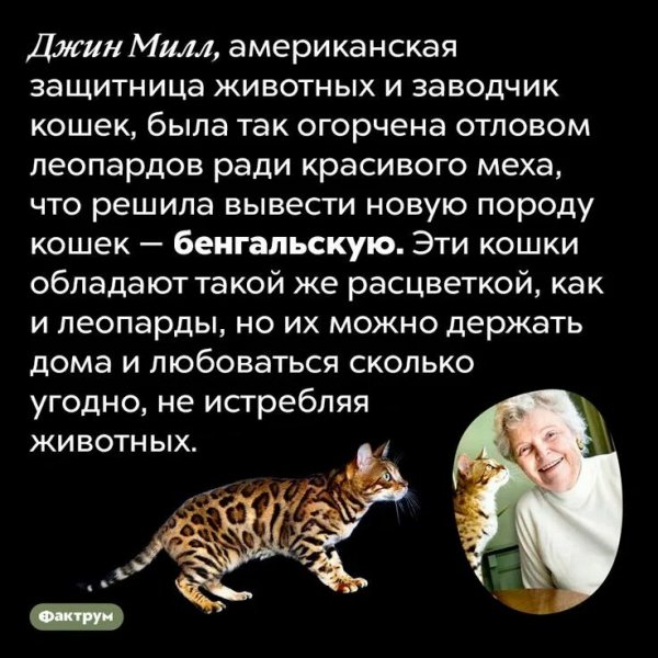 Это интересно