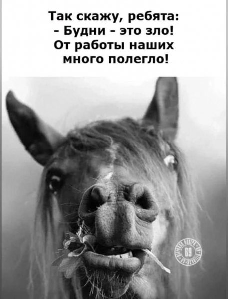 Rfggf