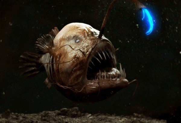 interesnye-fakty 240-600x408