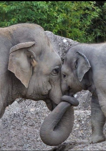 6e2de53063180c0824b75cf923600f6c