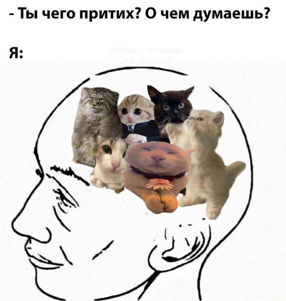 IMG 20250502 172151 189