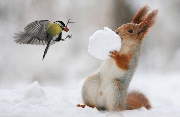 80ab2163d4196d0809323a5a13611bb8