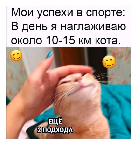 QM5A1AFnEuTk2IyKk0iAoAOnnC9pnsbXzRYfboSo2wiodwxI