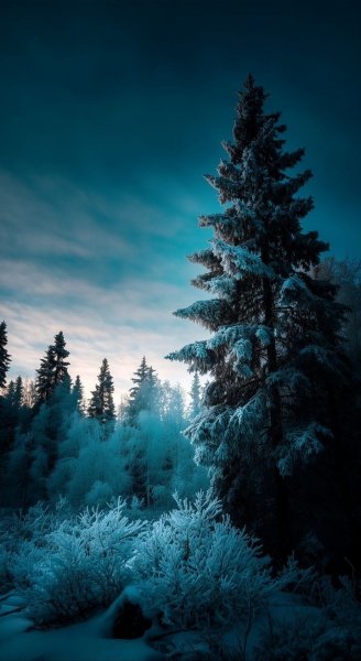 Арт Природа