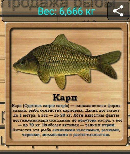 Карп