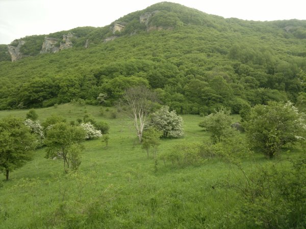 (11-05-2012) Карачаево-Черкессия, Россия