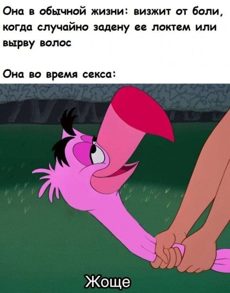 IMG 20260809 111245 904