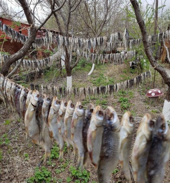 0 83bd29 99baeff8 orig