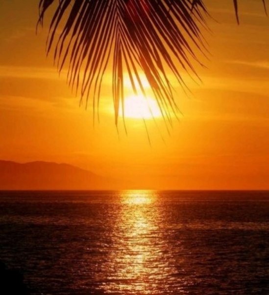 Позволь каждой ошибке научить тебя великому уроку: