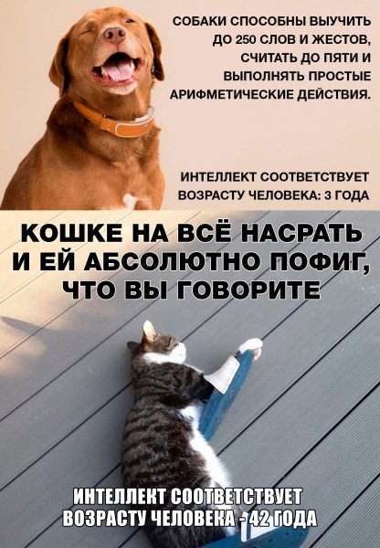 Где-то так... )))