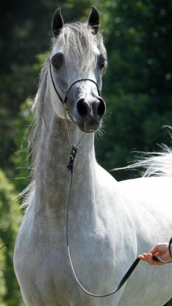 b0c98111e4b5e45720aa5b21ac42c3cd