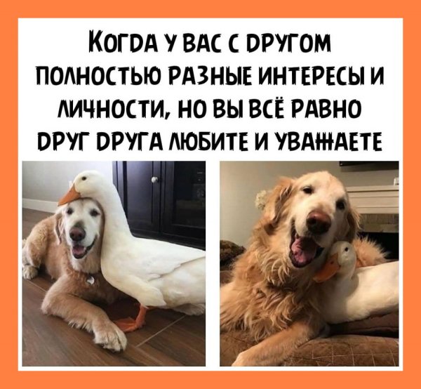 И уважаете