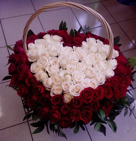 x5j6JyfCk5U