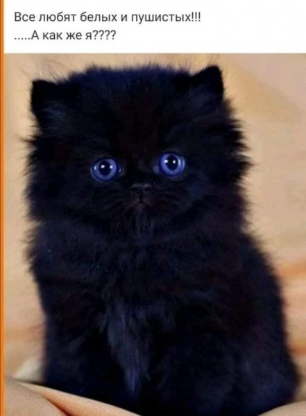 15-26-06-209618543 181120910697111 11392244793461275 n