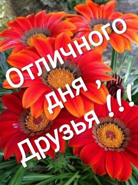 Всем вам!!!