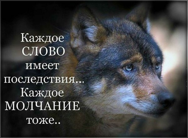 IMG 20181104 135925