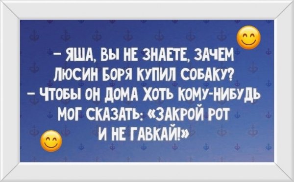 WYv7tz I1nc