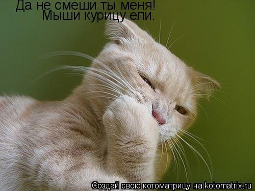 picture_401579657