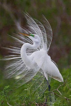 IMG 20141123 150350 41