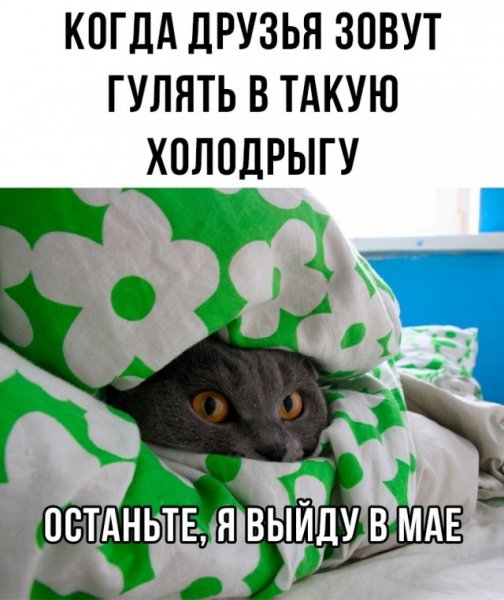 A57243fb25 20509616
