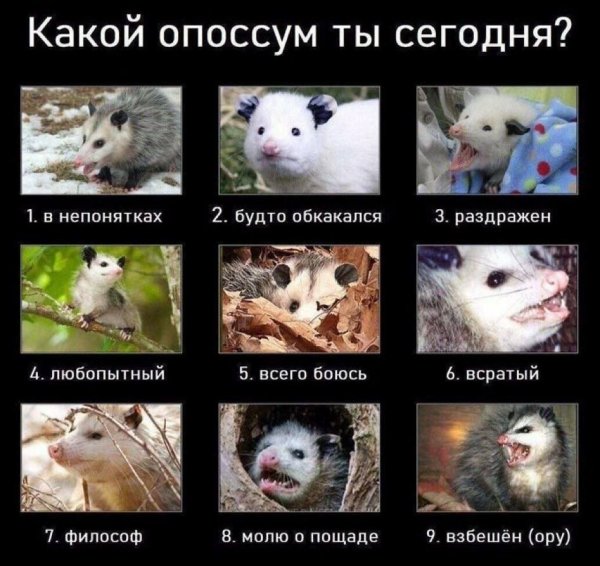 p.1200.1200.0