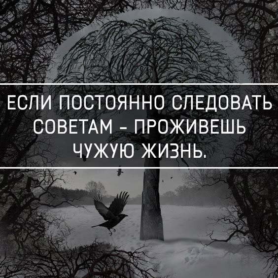 Верные слова!