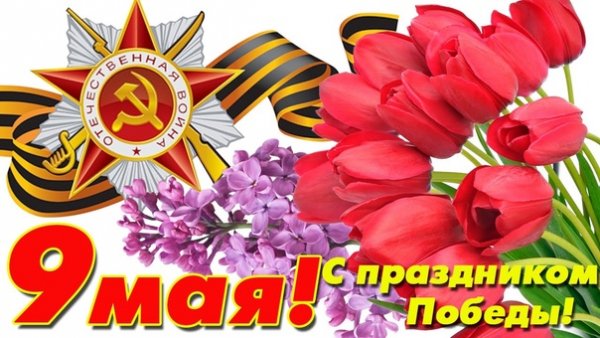 uq3sDk0dFUQ