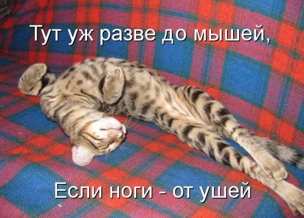 Да! ))