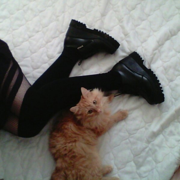 IMG 20161115 152415-1