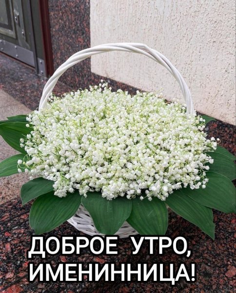 1cd0282b1c3dc94e1926033126313ceb