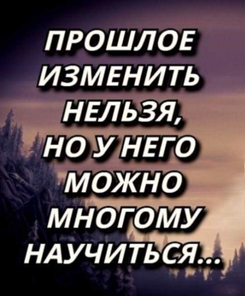 image (7)