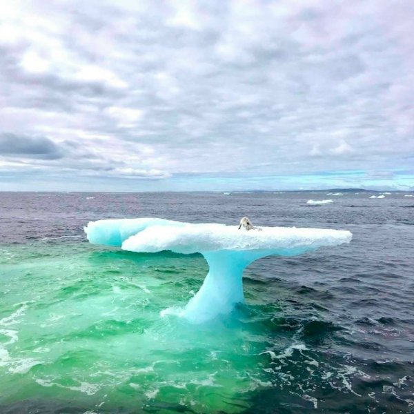 3y4EvmPXFe99wnSOIhUx1oVA7WYuchvnJLBikG9H4iTQ0584fX1t5WCguwE4