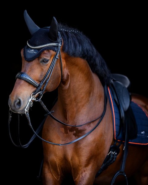 MEDIA # OF HORSE