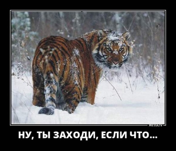 )))
