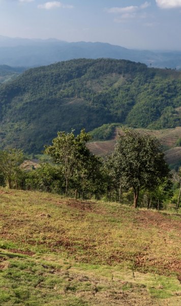 Screenshot 20260222-165517 One UI Home