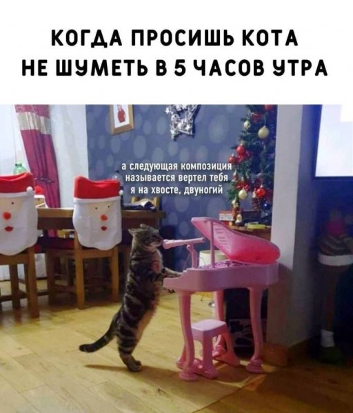 picture_418895942