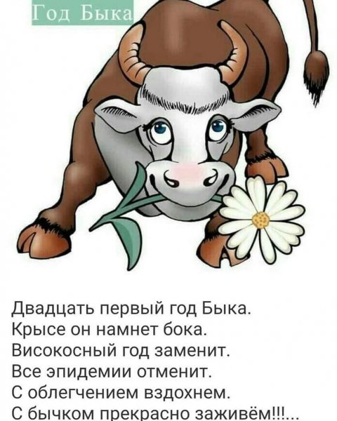 domovoi 32 20201106 7